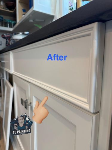  for TL Painting in Joliet, IL