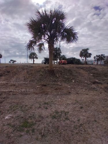 Site Cleanup and Preparation for Landrum’s Lawn & Tractor Services in Blountstown, FL