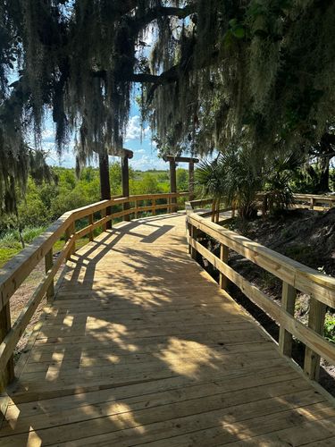 All Photos for Overkill Custom Construction Inc. in Lakeland, FL