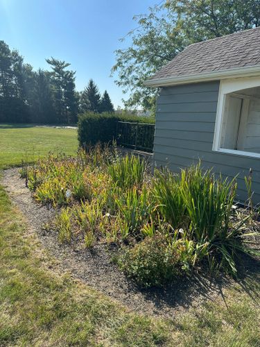 Shrub Trimming for OT Lawn and Landscaping LLC in Carey, OH