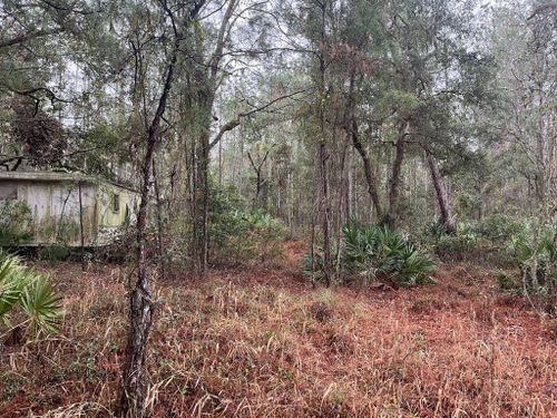  for Diamond B Earthworks in Camden County, GA