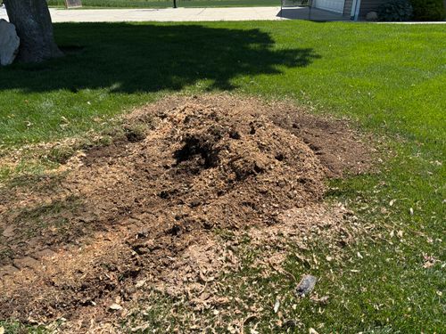 Stump Removal for Conrad's Stump Removal in Columbus, IN