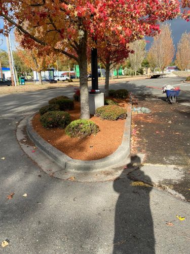  for Family Landscaping & Irrigation in Auburn, WA