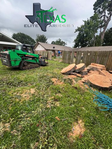  for Texas Elite Arborist in Houston, TX