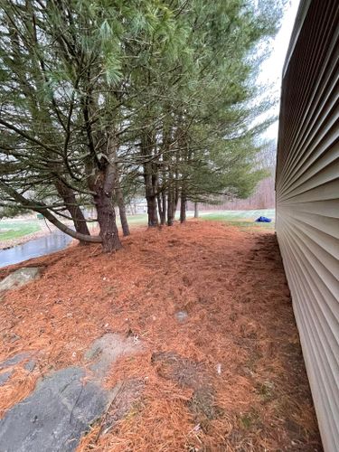 Fall Clean Up for Blades of Glory LLC in Cheshire, CT