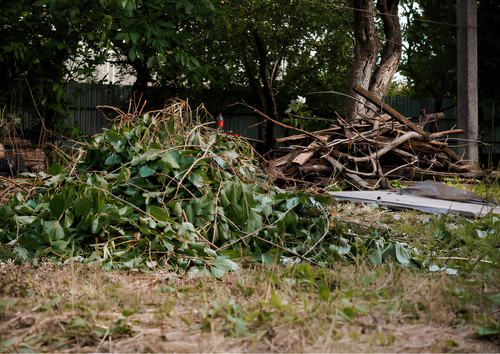 All Photos for Big G's Lawncare & Plowing in Bangor, ME
