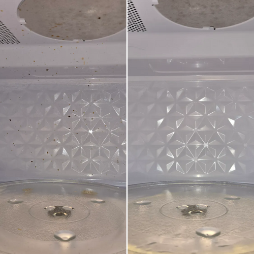  for Lavender Clean in Myrtle Beach, SC