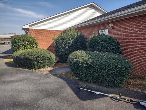 Shrub Trimming for Kerr’s Lawn Care in Salisbury, NC