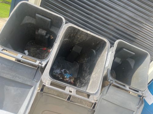 Garbage bins cleaning for Aftermath Pressure Washing & Roof Washing & Soft Washing LLC in  Conyers, GA