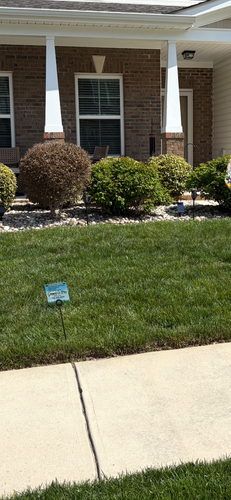  for Green Pro Lawn Care in Greensboro, NC