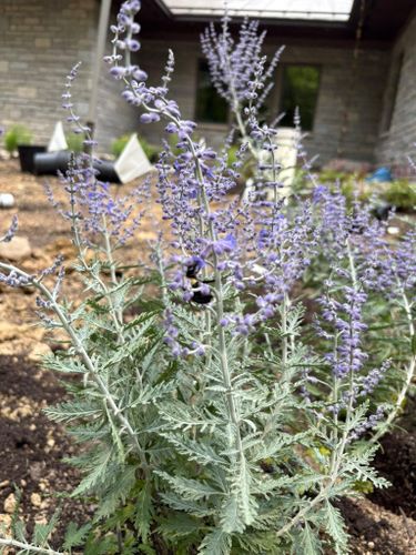  for Elevate Landscape & Hardscape in West Jefferson, OH