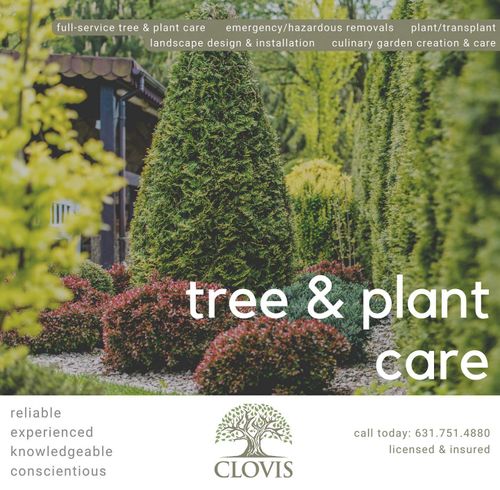 All Photos for Clovis Outdoor Services in Stony Brook, New York