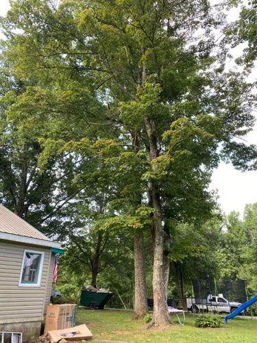 Fall and Spring Clean Up for Atwood’s Tree Care in Liberty,  KY