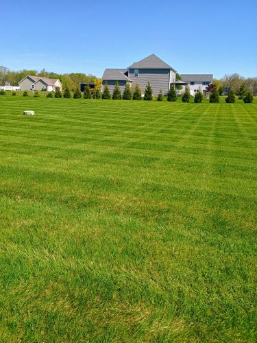 Tree and Shrub Planting for R&M Lawn Control in Defiance, OH
