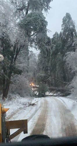 Storm Services for Mud Creek Vegetation Management in Russellville, AL