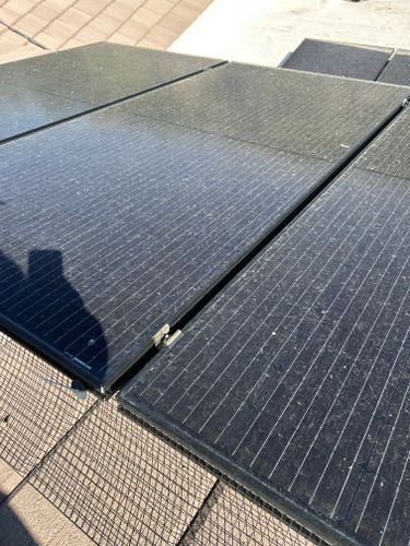 Bird Proofing for Olson & Sons Contracting in Mesa, AZ