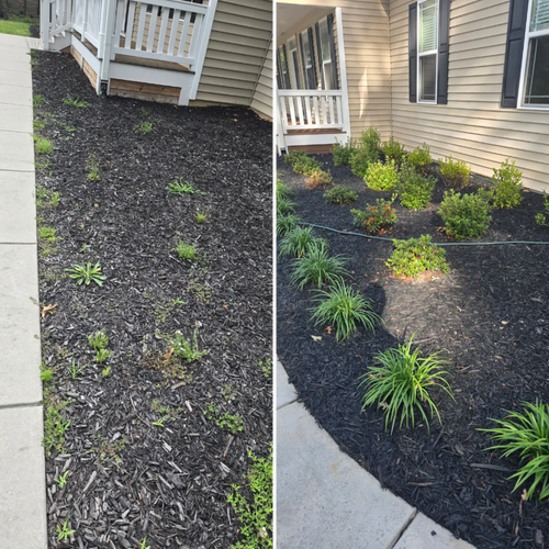  for Palmour's Lawn Care in Gainesville, GA