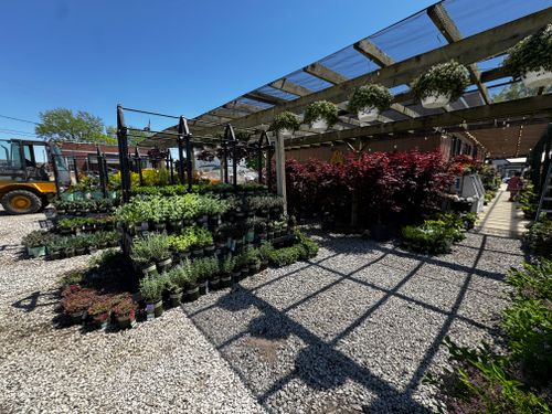 Gardening for Mayfield Landscaping in Staunton, IL