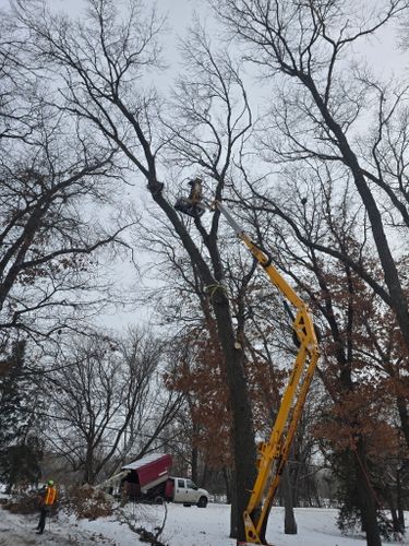 Tree Trimming for K and Z Tree Care in Isanti County, MN