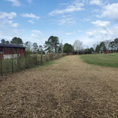 Brush mowing & Forestry mulching for Jason Scott Grading & Clearing in Williamson, GA