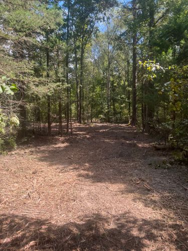  for 903 Mulching in East Mountain, TX