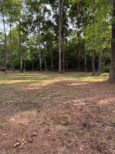  for JC Land Clearing in Shelbyville, TN