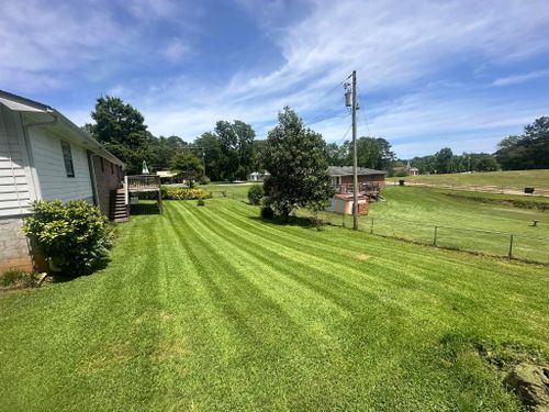 Mulch & Pinestraw Beds for Castillo’s Lawn Care in Monroe, GA