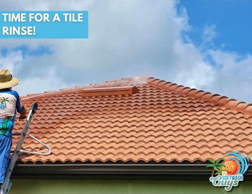 Roof Cleaning for My Softwash Guys in Venice, FL