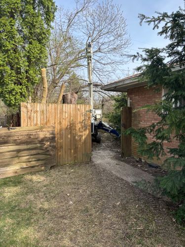 All Photos for Pro Tree Trim & Removal, Llc in Dayton, OH