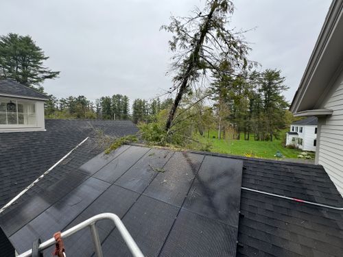  for Clifford’s Quality Tree Care & Landscaping in Enfield, NH