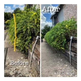 Shrub Trimming for CS LawnCare  in San Antonio,  TX