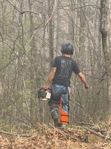 All Photos for Ramirez Tree Care in Elkin, NC