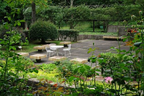 Tree Services for Ludlows Services in Clermont, FL