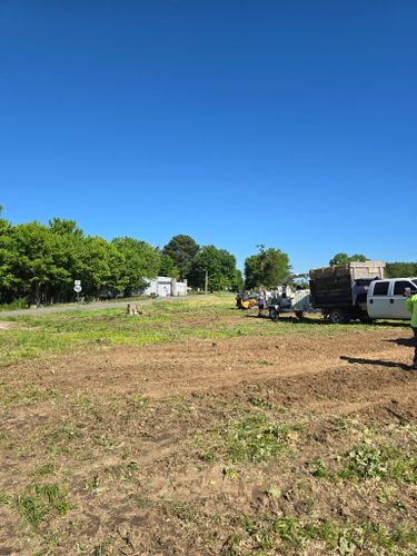 Tree Removal for Optimum Tree Service And Landscaping in Bowling Green, KY