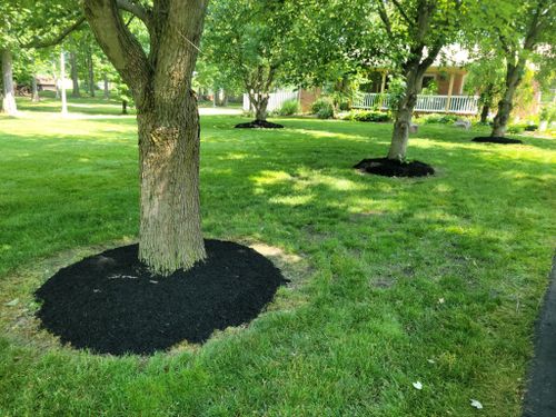  for A&A Lawnworks in Maximo, OH