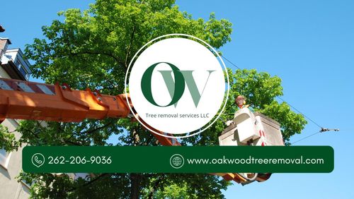  for Oakwood Tree Removal LLC in Oak Creek,  WI