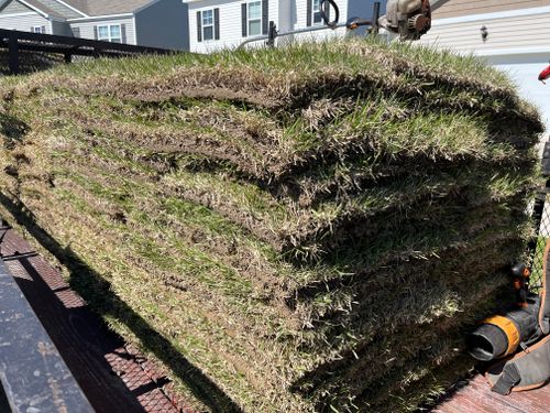 All Photos for New Creation Landscaping in Myrtle Beach, SC