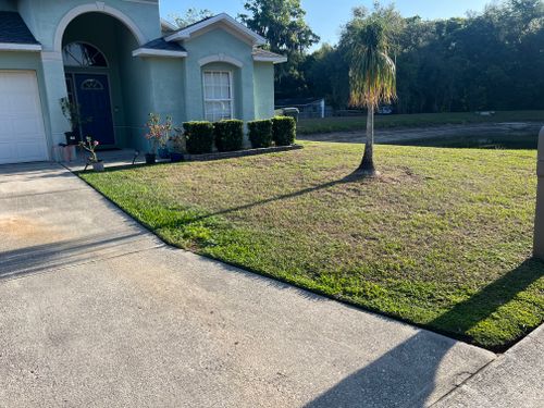 All Photos for A&D Lawn Care of Lakeland in Lakeland, FL