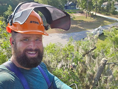 Tree Trimming for Near Me Tree Service, Inc. in DeLand, FL