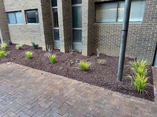 All Photos for JBB Landscaping in Concord, NC