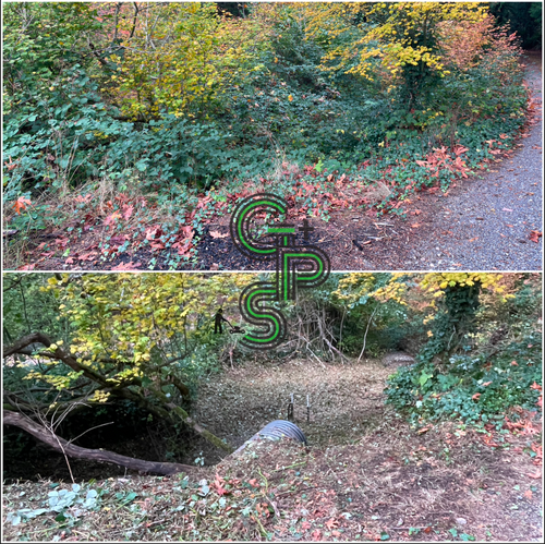 Brush Clearing - Bramble Clearing - Blackberry Clearing for Golovin Property Services LLC in Marysville, WA