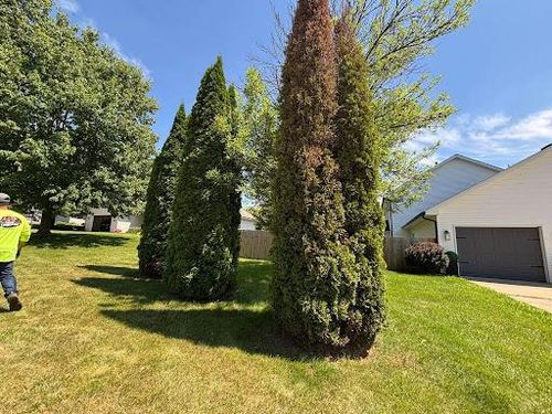  for Cena Landscaping in Rockford, IL