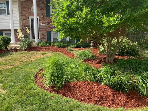  for Branch Out Tree Care LLC in Fredericksburg, VA