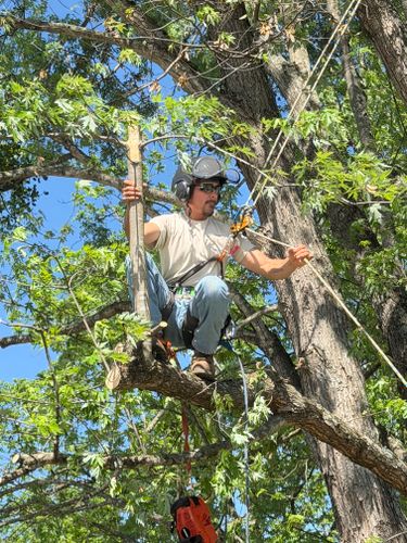 All Photos for Ramirez Tree Care in Elkin, NC
