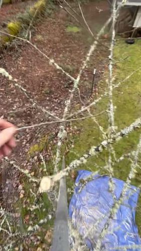  for Avenscapes NW, LLC in Getchell , WA