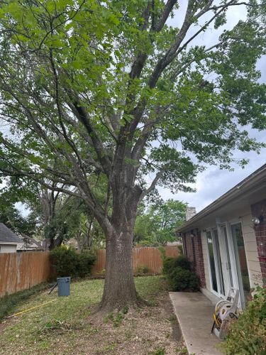 Mowing for Allen Lawn Care in Taylor, Texas