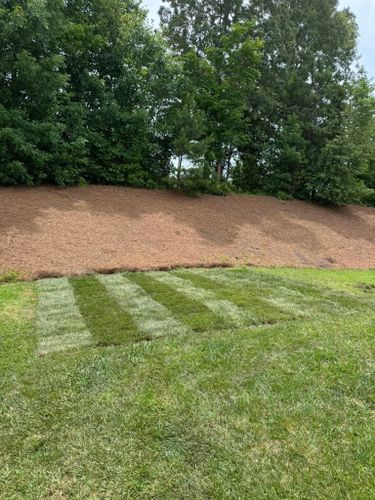  for Southern Turf & Landscape in Concord, NC