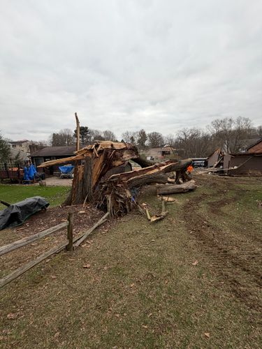 for Gregory Godleski Jr's Tree Service in Wexford, PA