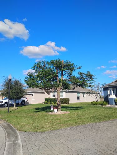 Storm Clean Up for Highlands Tree Service LLC in Avon Park, FL