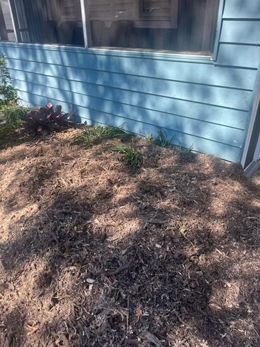  for KB’s Stump Removal in Pinellas county, FL